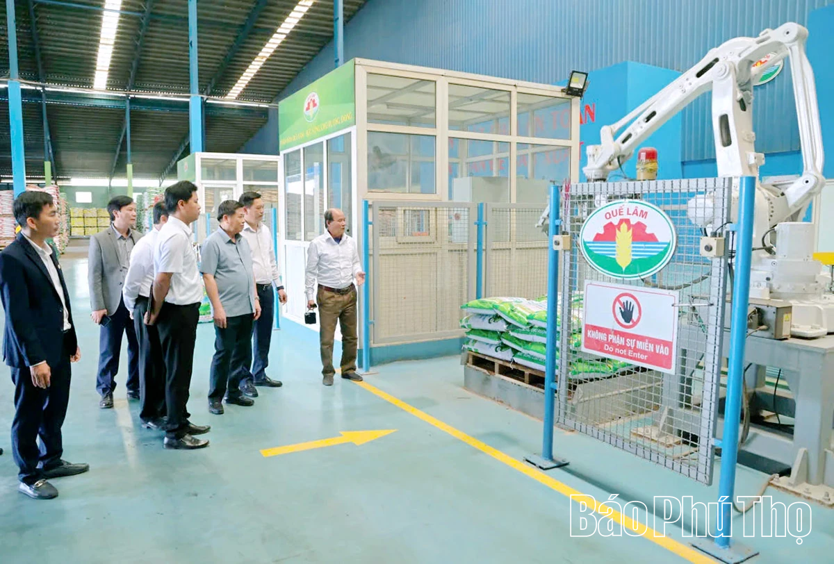 Đẩy mạnh sản xuất nông nghiệp tuần hoàn, nông nghiệp hữu cơ