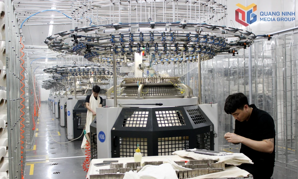 Quảng Ninh quyết tâm xác lập kỷ lục mới về thu ngân sách