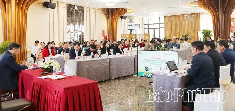 Nâng cao hiệu quả hoạt động tổ khuyến nông cộng đồng theo mô hình chính quyền địa phương 2 cấp