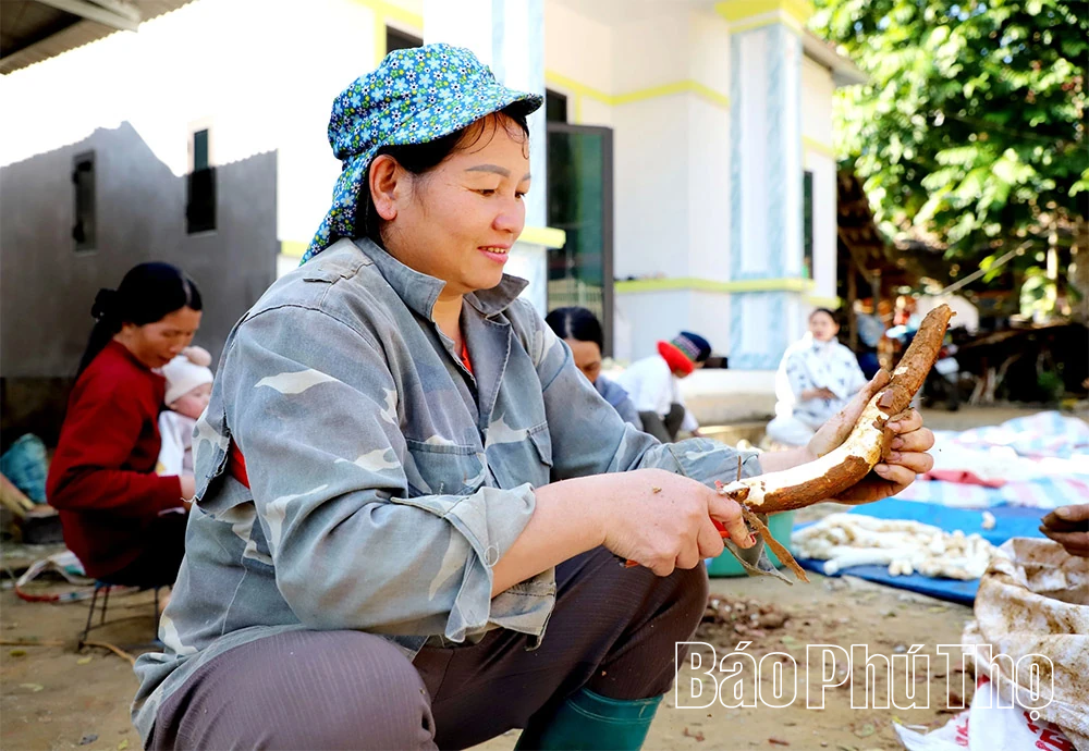 Vẻ đẹp thiên nhiên, con người Xuân Sơn