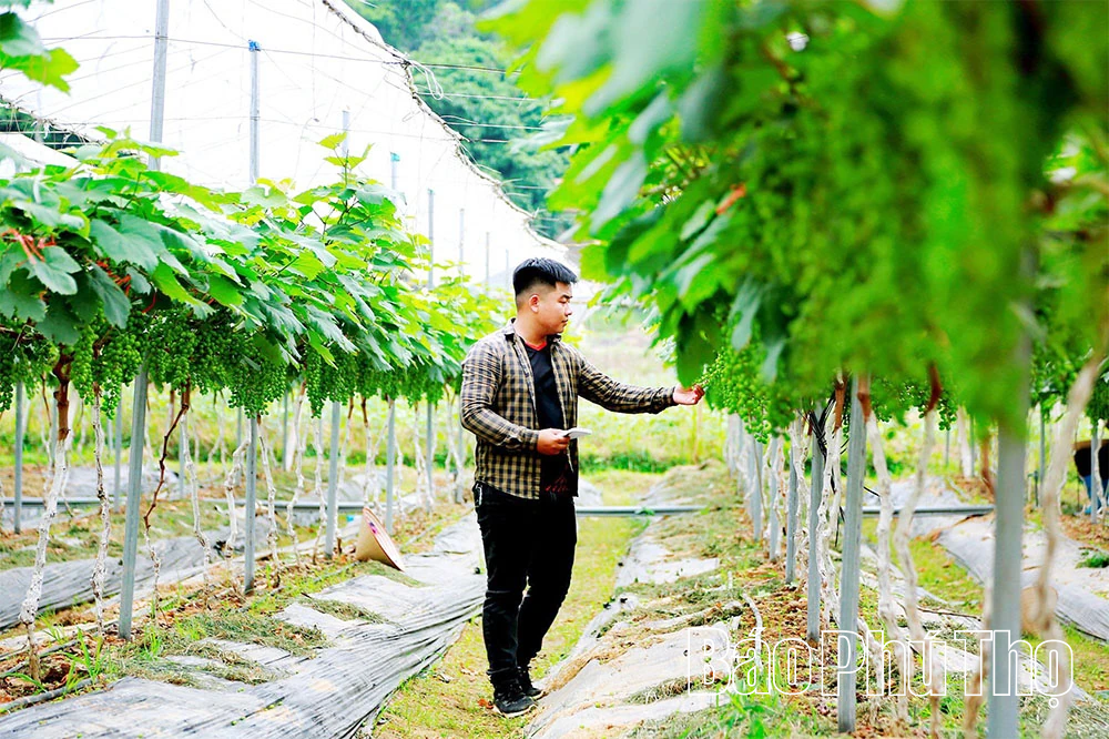 Bước đột phá cho nền nông nghiệp thông minh