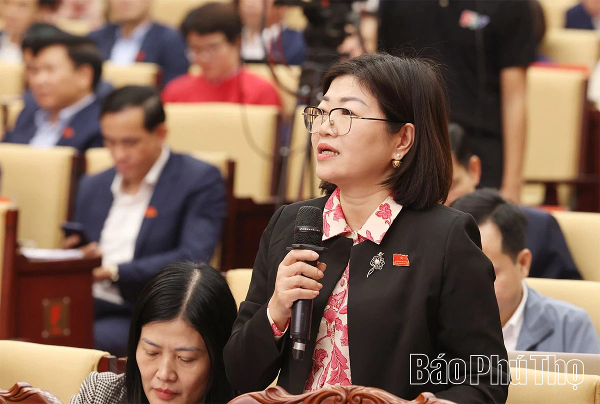 Các đại biểu thảo luận, chất vấn và trả lời chất vấn tại hội trường