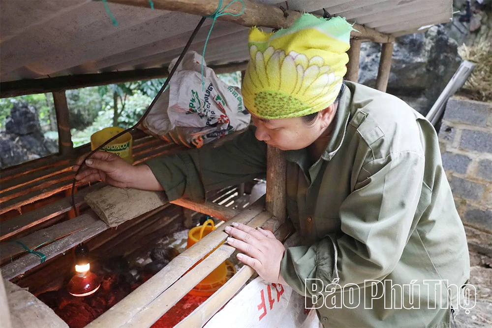 Nỗ lực giảm nghèo đa chiều ở các xã vùng khó khăn khu vực Hòa Bình