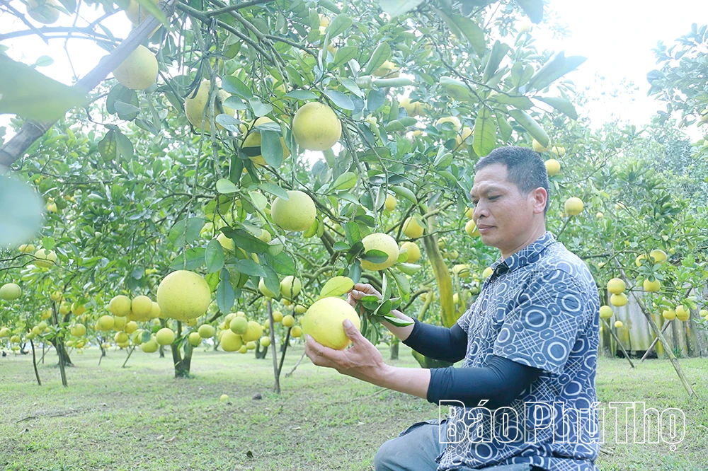 Truyền thông hiệu quả, giảm nghèo bền vững