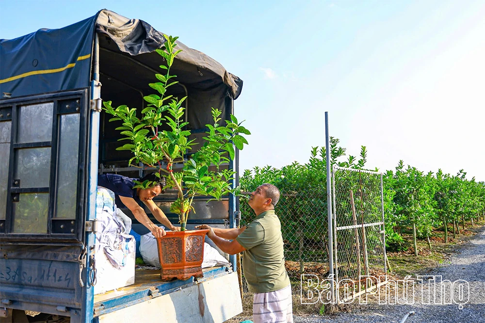 Phật thủ mở hướng làm giàu