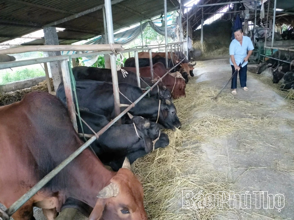 Xuân Viên đẩy mạnh thực hiện các giải pháp giảm nghèo bền vững