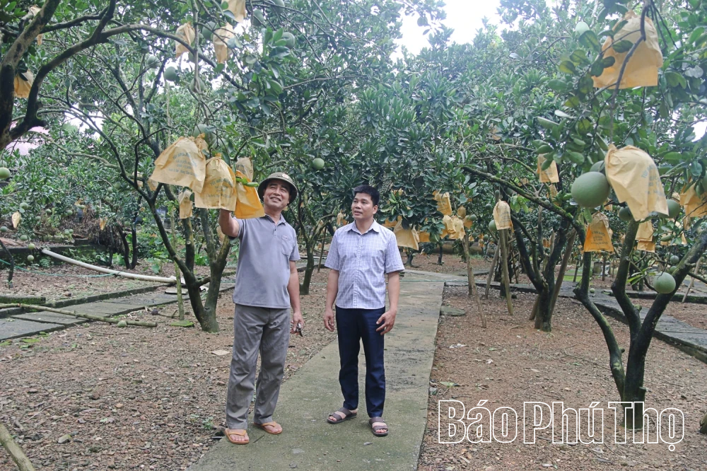 Xuân Viên đẩy mạnh thực hiện các giải pháp giảm nghèo bền vững