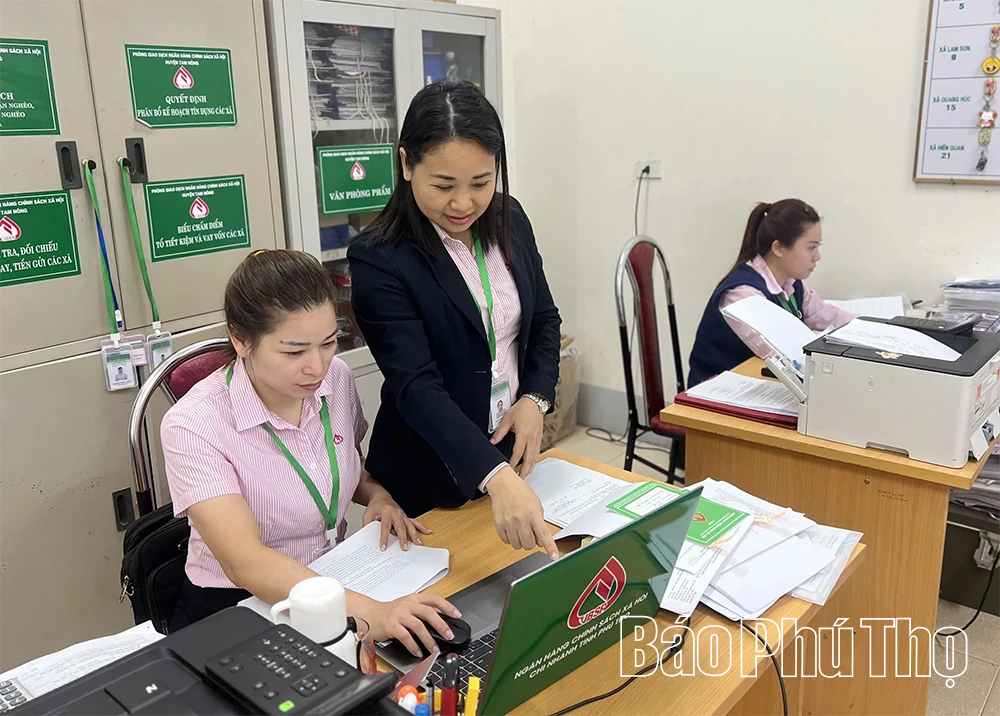 Chi bộ Phòng giao dịch Ngân hàng CSXH Tam Nông lãnh đạo nâng cao hiệu quả tín dụng chính sách