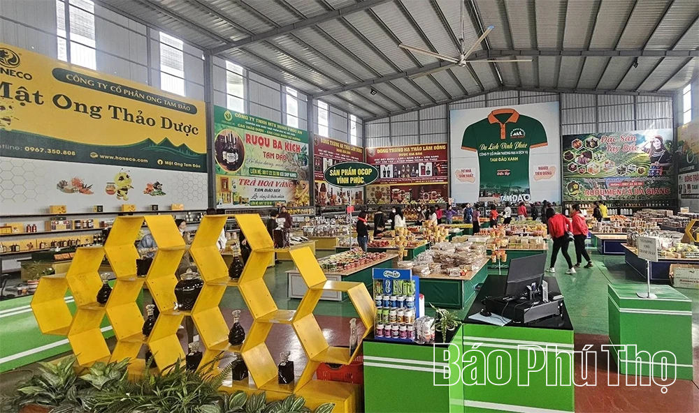 Người đem thương hiệu “Mật ong Tam Đảo” ra thế giới