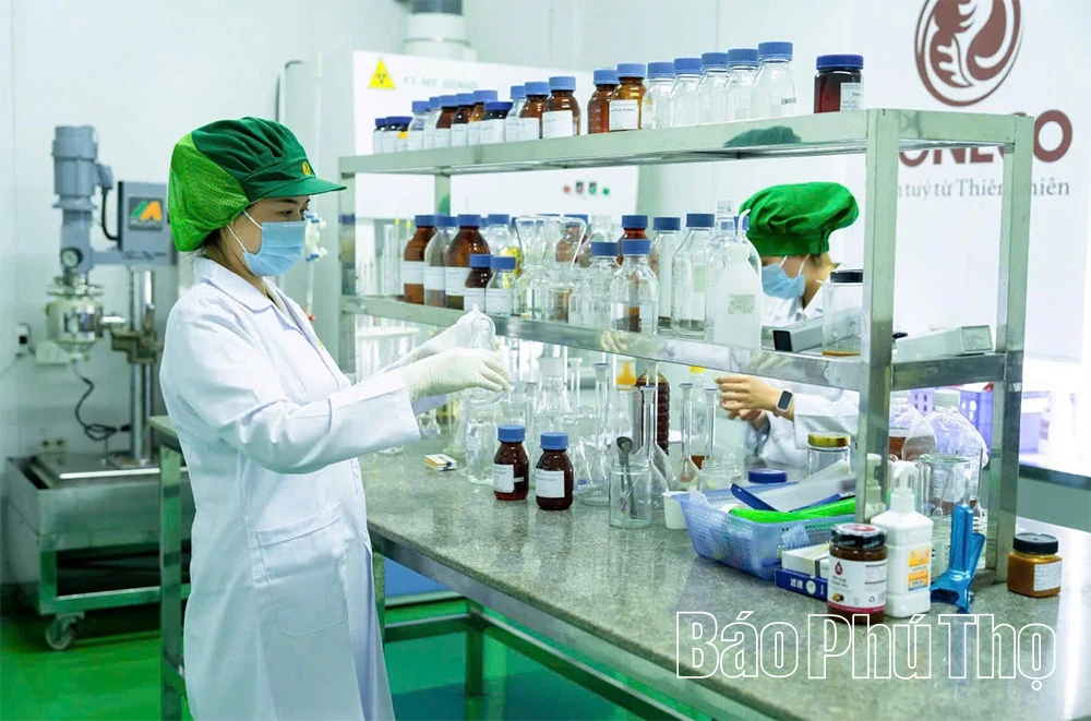 Người đem thương hiệu “Mật ong Tam Đảo” ra thế giới