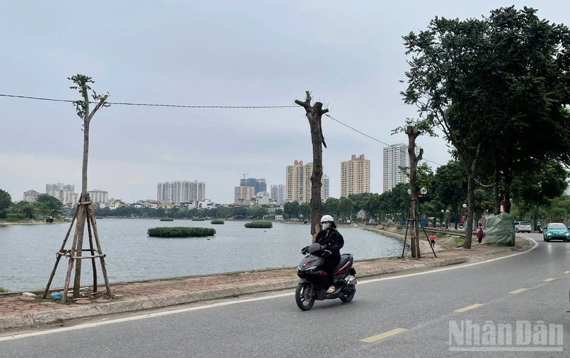 Thời tiết ngày 22/1: Bắc Bộ rét đậm, có nơi rét hại; vùng núi cao đề phòng băng giá