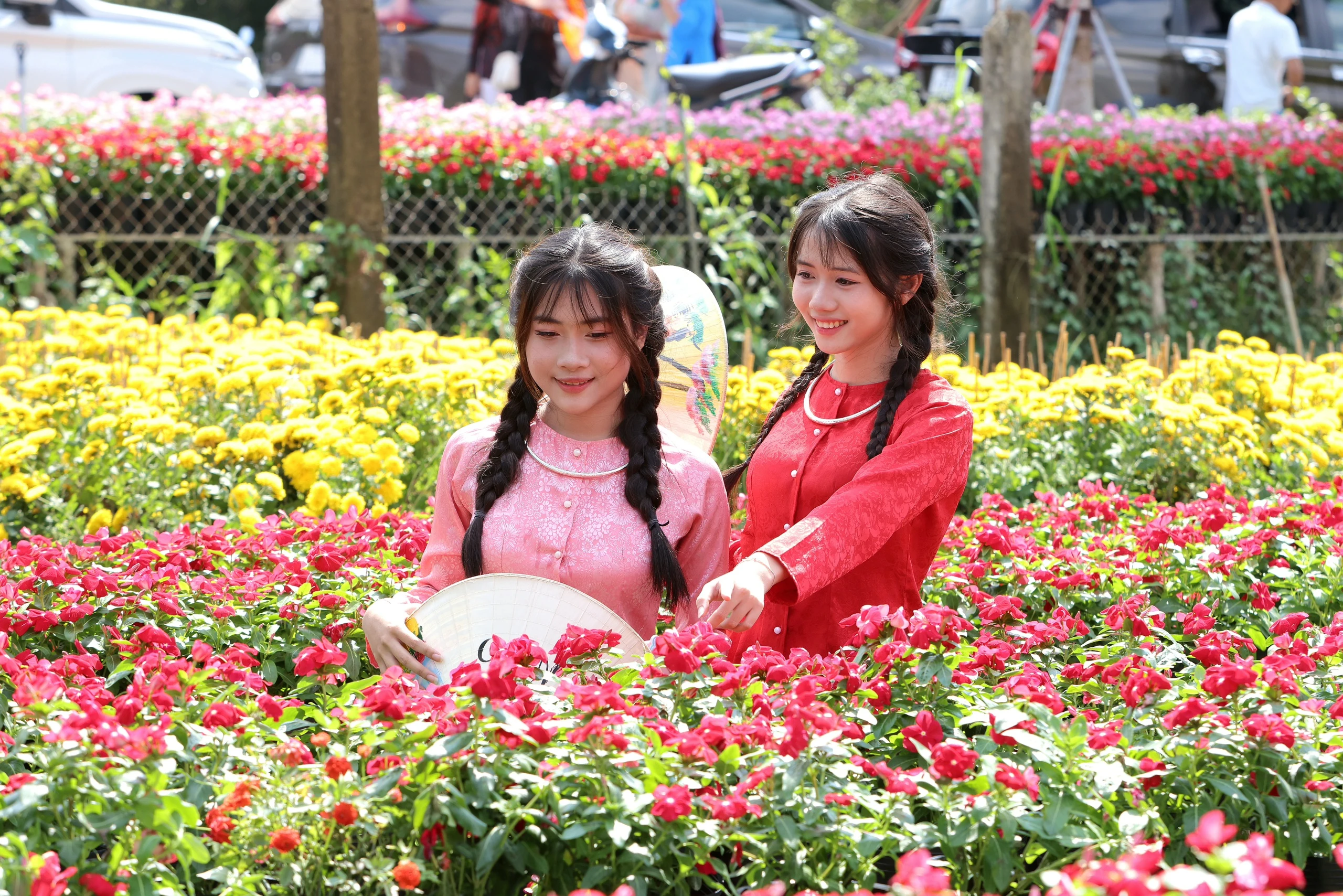 Biến vườn hoa kiểng thành điểm check-in, nông dân Sa Đéc thu tiền triệu mỗi ngày