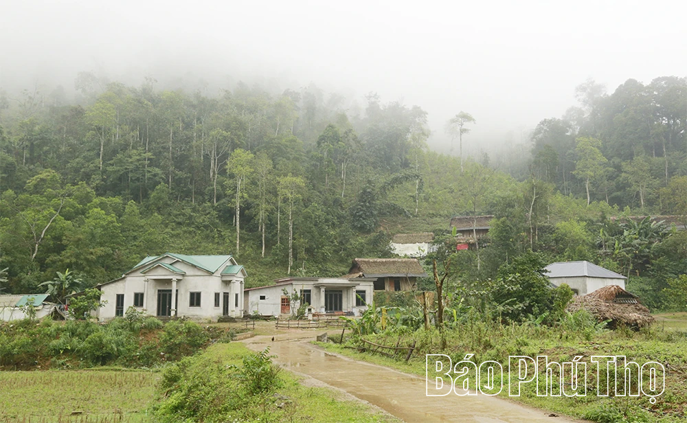 Sương giá Đèo Mương