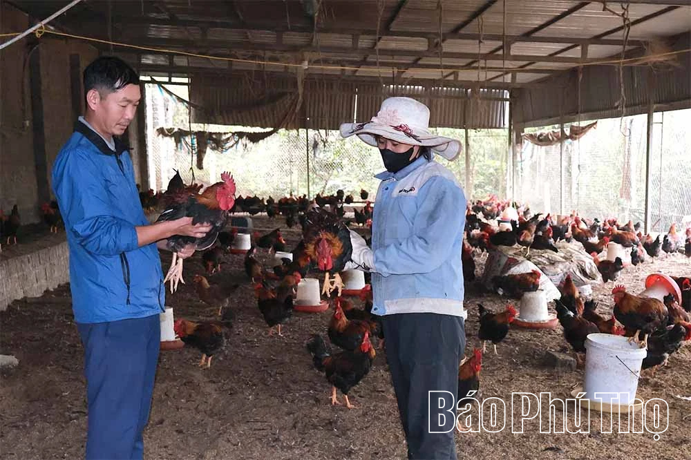 Xuân Lũng phát huy hiệu quả nguồn vốn tín dụng chính sách