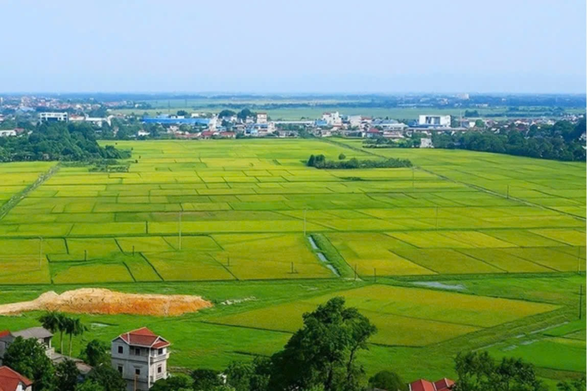 Quy định thẩm quyền của UBND cấp tỉnh trong lĩnh vực đất đai