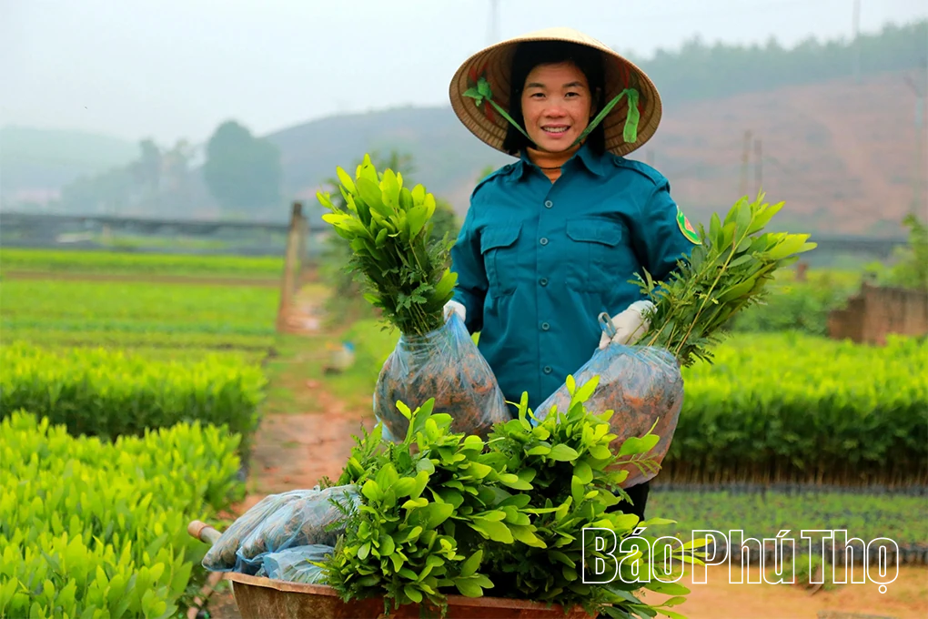 Ươm mầm cho mạch sống sinh sôi