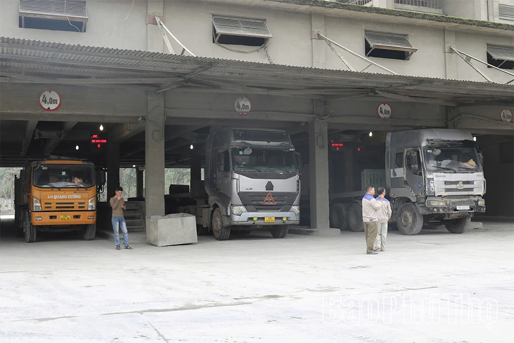 Xi măng Vicem Sông Thao xuất hàng đầu năm