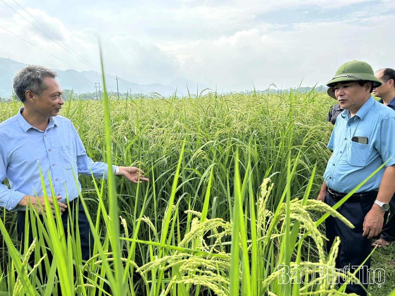 Xây dựng Đảng vững mạnh - Nền tảng để Sơn Lương bứt phá