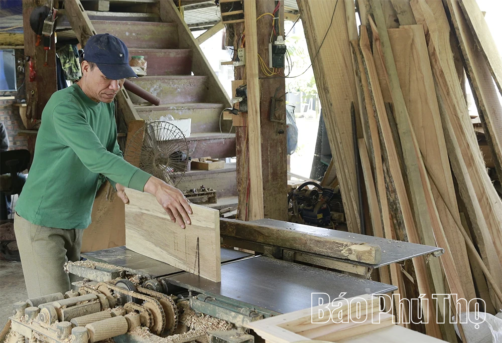 Yên Sơn giảm nghèo từ nguồn lực xanh bền vững