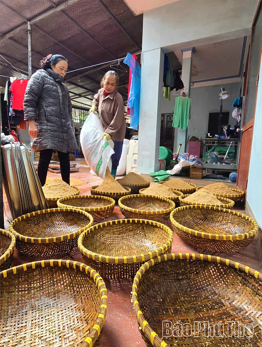 Rượu cần ngày Tết - men say của núi rừng