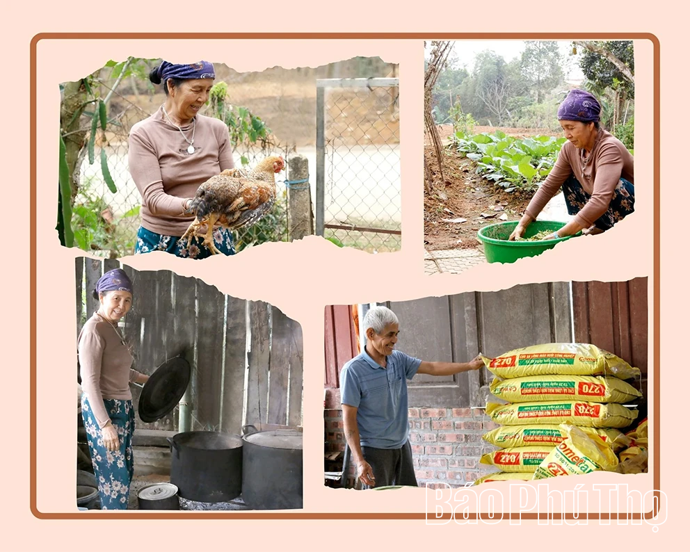 Hỗ trợ chăn nuôi giống gà quý trong truyền thuyết Sơn Tinh, Thủy Tinh