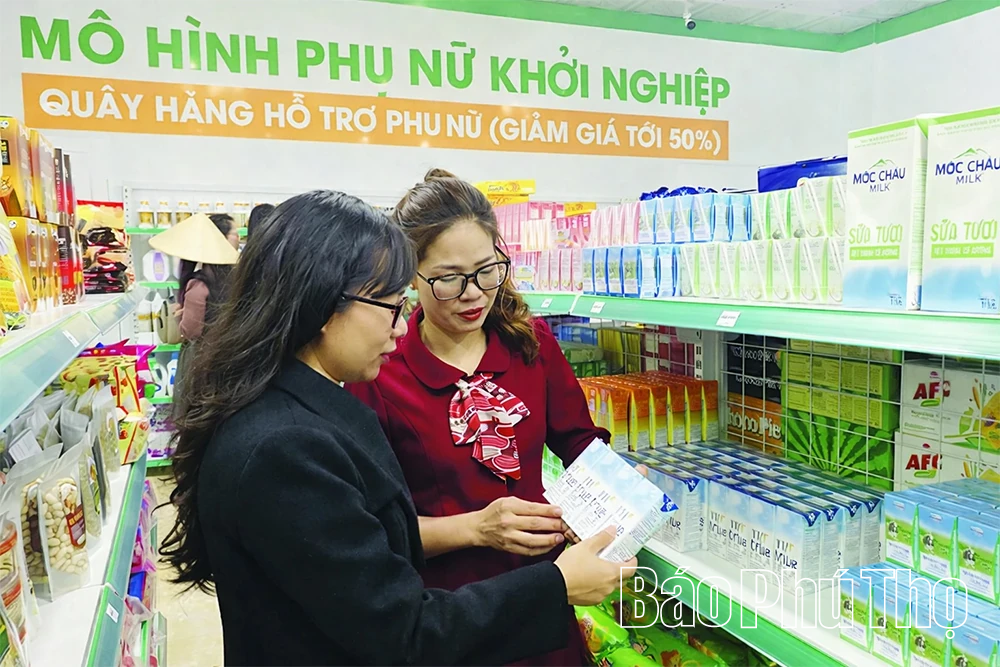 Phú Thọ tăng cường hỗ trợ doanh nghiệp khởi nghiệp