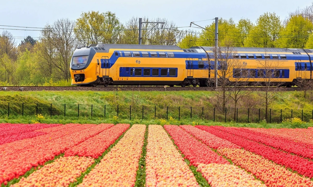 7 quốc gia có hệ thống giao thông công cộng tốt nhất thế giới