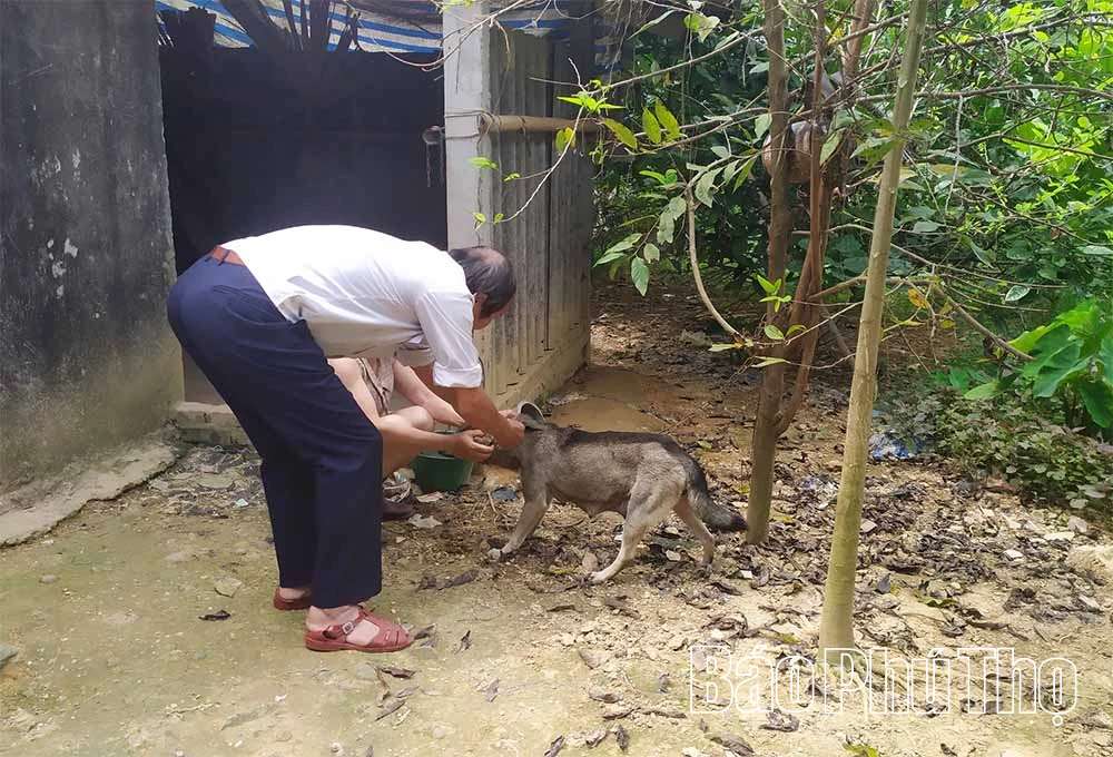 Chủ động phòng, chống bệnh dại