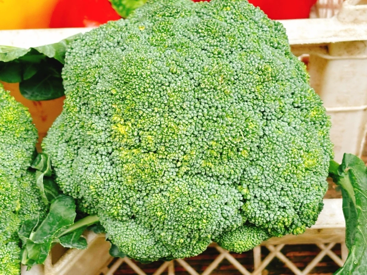 5 thực phẩm dùng thường xuyên giúp phòng ung thư