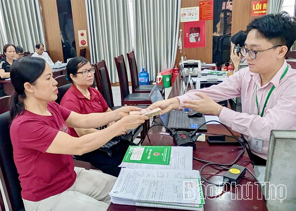 Hơn 160 lao động có việc làm ổn định từ vốn vay giải quyết việc làm