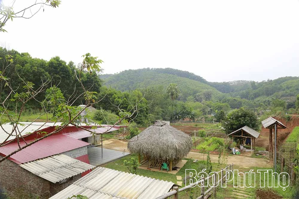 Nông trại xanh từ quyết định ngược dòng