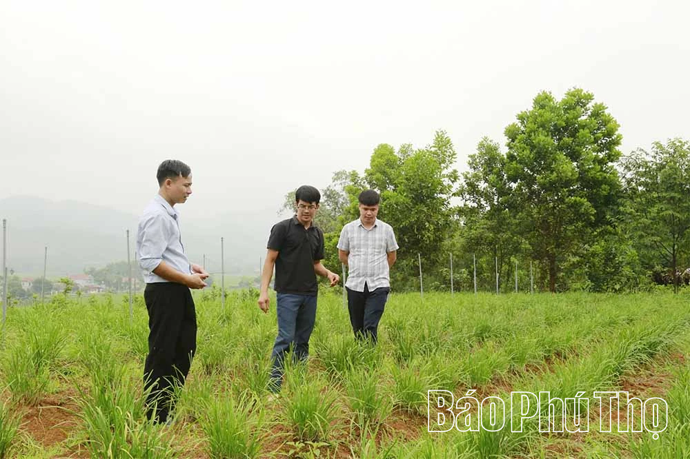 Nông trại xanh từ quyết định ngược dòng