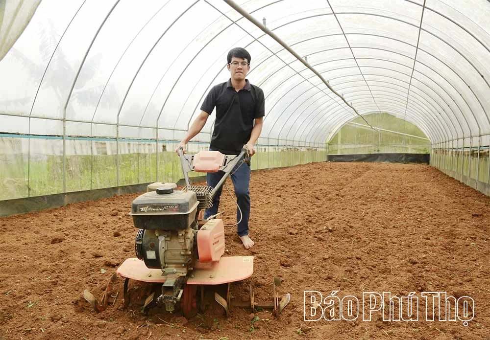 Nông trại xanh từ quyết định ngược dòng