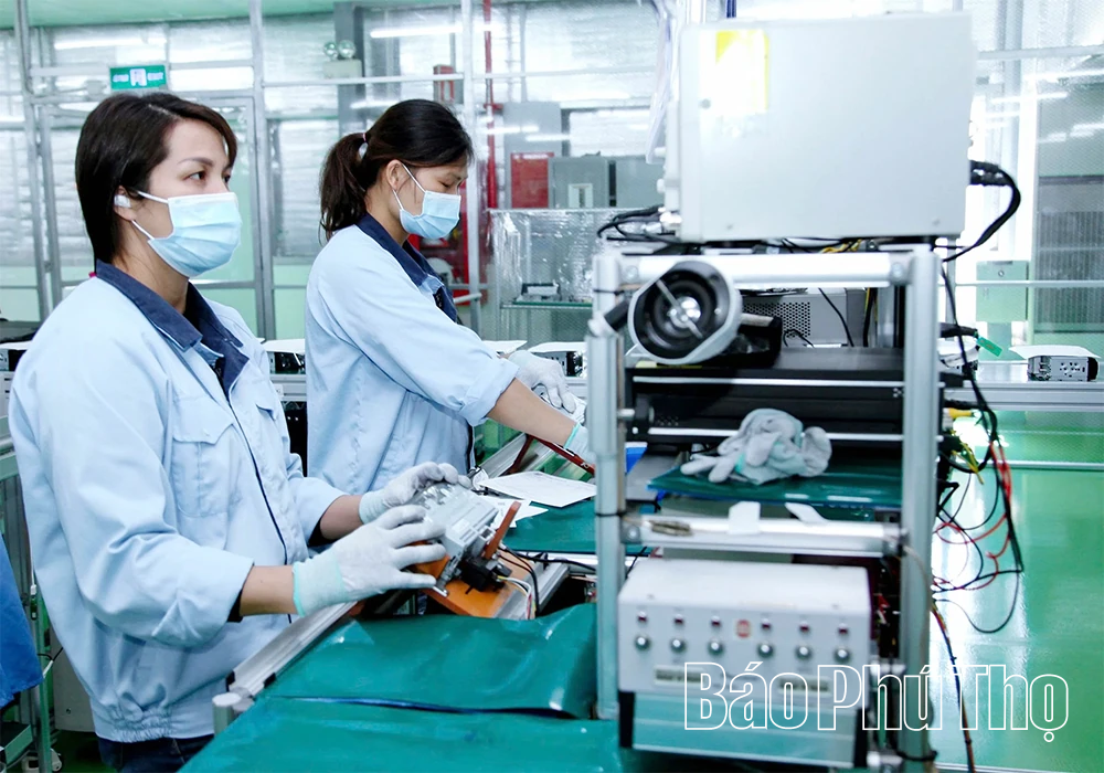 Gian nan tìm việc đúng nghề