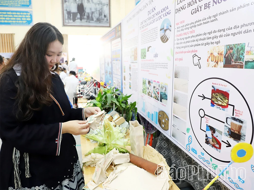 Sôi nổi Ngày hội STEM tại Trường Phổ thông Dân tộc nội trú THPT Hòa Bình