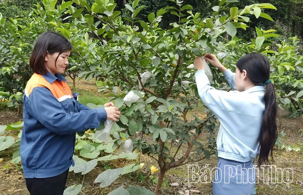 Vốn tín dụng tiếp sức hành trình tái hòa nhập cộng đồng