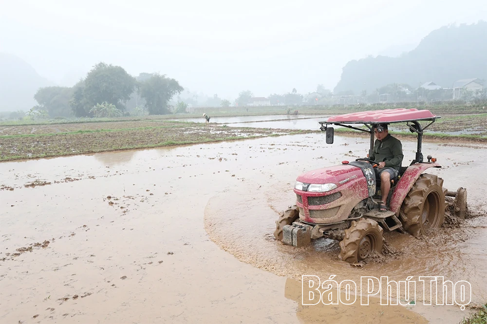 Nông dân xã Toàn Thắng thi đua phát triển kinh tế, xây dựng nông thôn mới