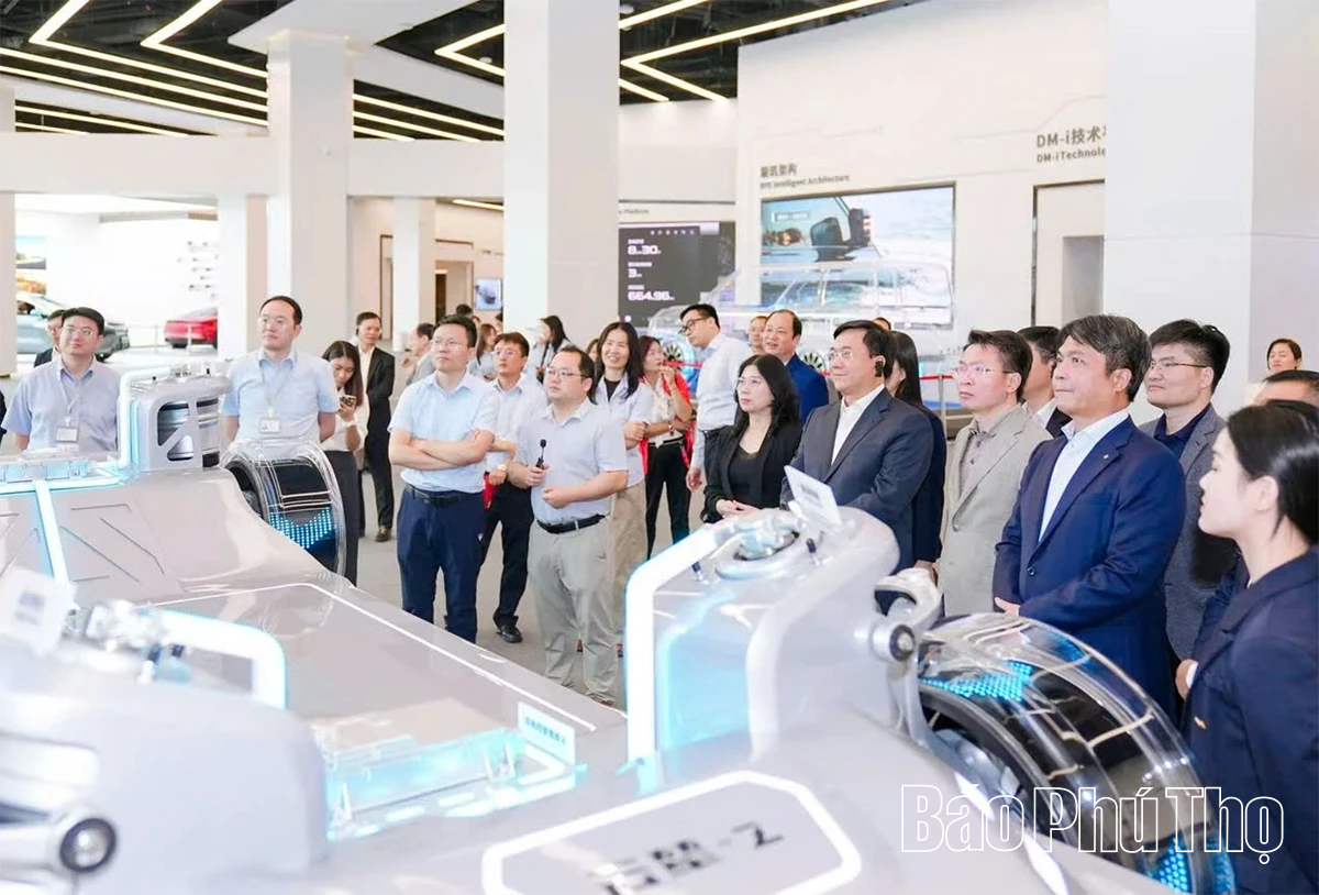 Đoàn đại biểu tỉnh Phú Thọ làm việc với Tập đoàn BYD về hợp tác trong lĩnh vực xe điện và năng lượng mới