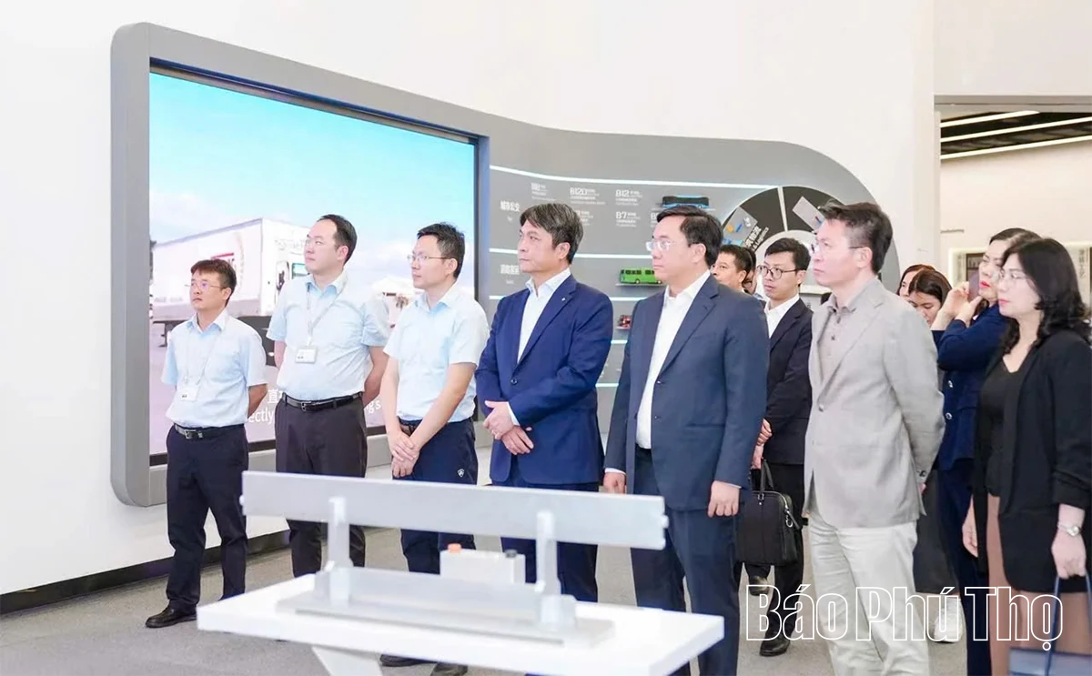 Đoàn đại biểu tỉnh Phú Thọ làm việc với Tập đoàn BYD về hợp tác trong lĩnh vực xe điện và năng lượng mới