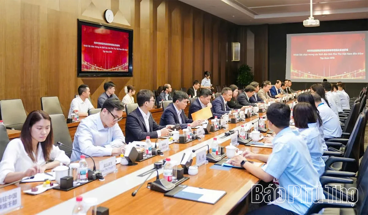 Đoàn đại biểu tỉnh Phú Thọ làm việc với Tập đoàn BYD về hợp tác trong lĩnh vực xe điện và năng lượng mới