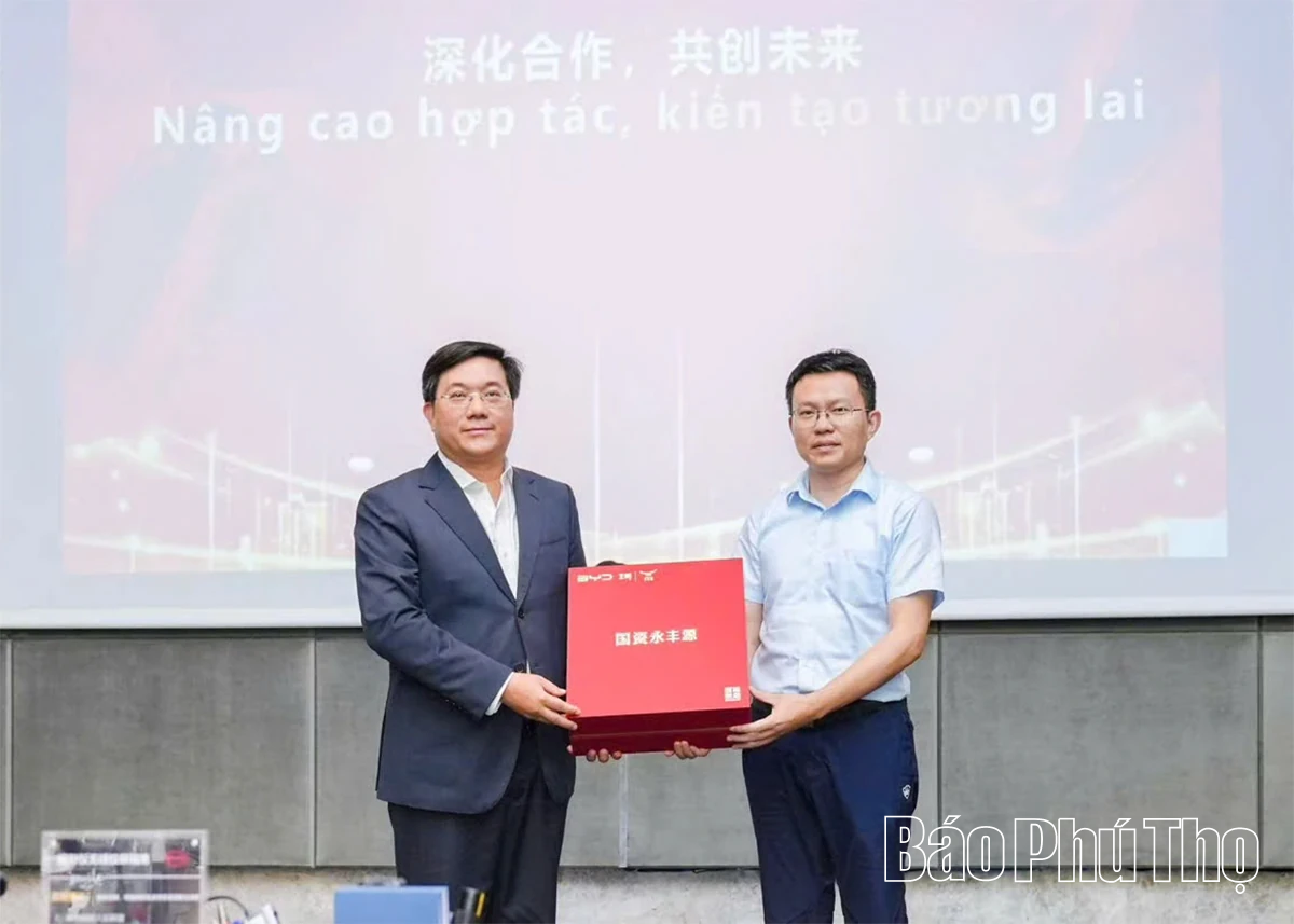 Đoàn đại biểu tỉnh Phú Thọ làm việc với Tập đoàn BYD về hợp tác trong lĩnh vực xe điện và năng lượng mới