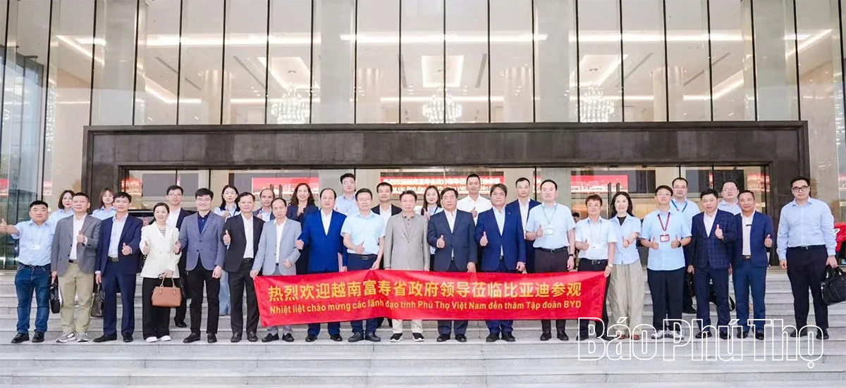 Đoàn đại biểu tỉnh Phú Thọ làm việc với Tập đoàn BYD về hợp tác trong lĩnh vực xe điện và năng lượng mới