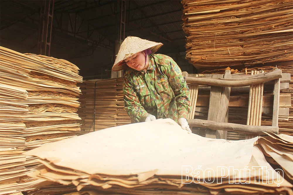 Hợp Lý - Nền tảng vững chắc từ công tác xây dựng Đảng