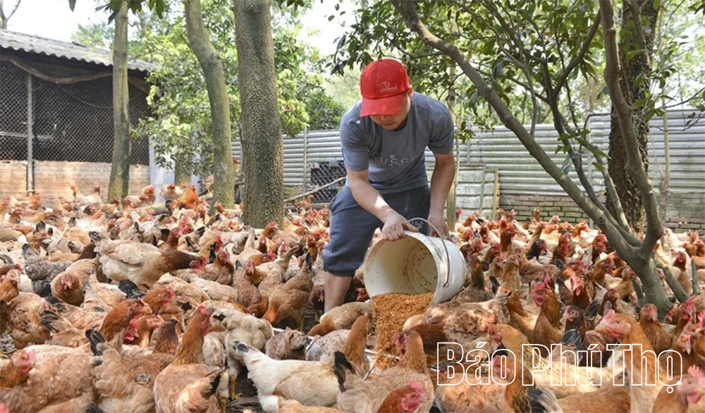 Kỳ I: Nền tảng vững, phát triển bền