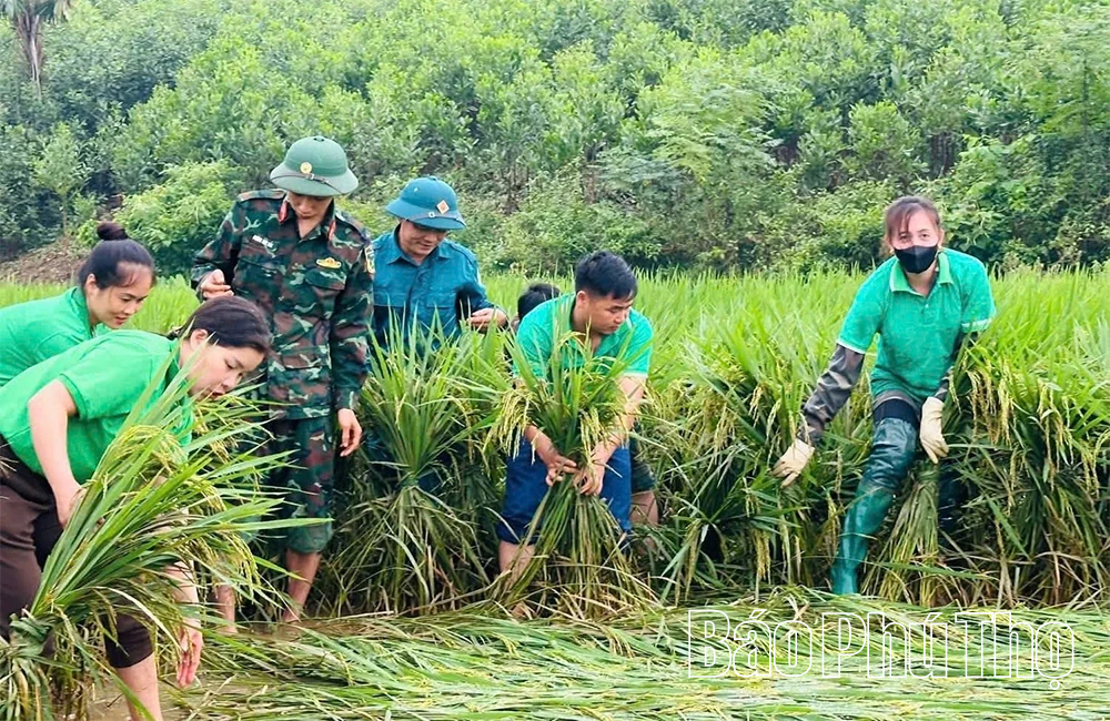 Bộ đội và dân quân khẩn trương hỗ trợ nhân dân sau mưa bão