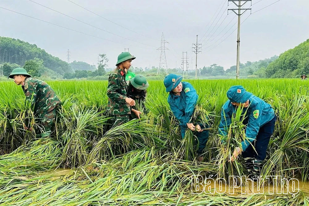 Bộ đội và dân quân khẩn trương hỗ trợ nhân dân sau mưa bão