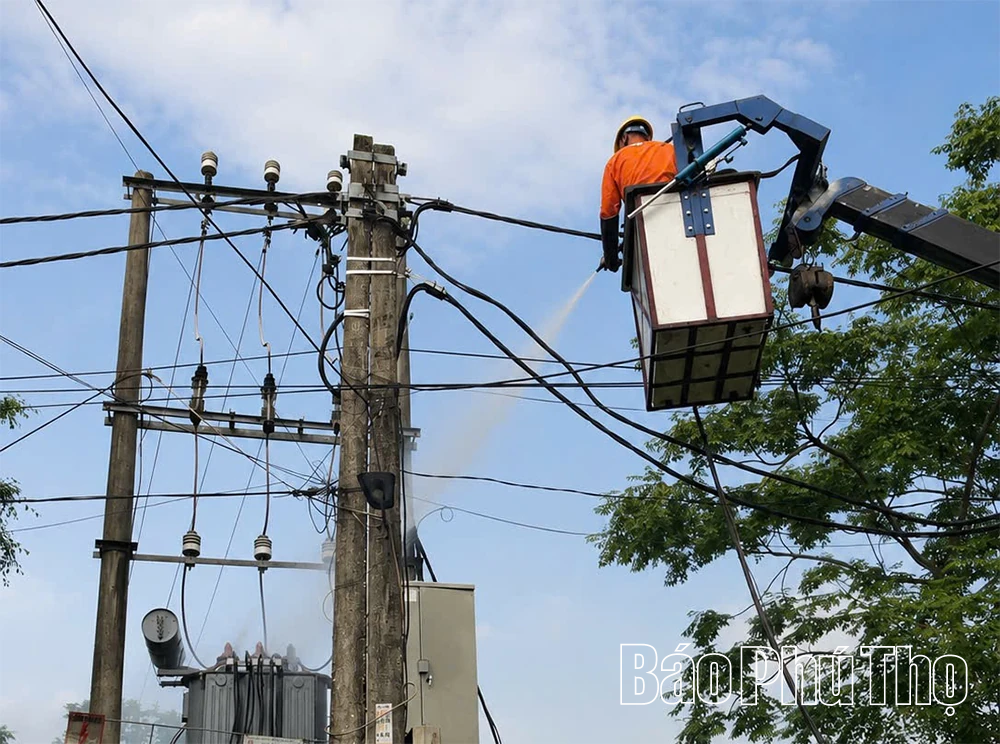 Điện lực Phú An tăng cường vệ sinh sứ, bảo dưỡng trạm biến áp bằng công nghệ hotline