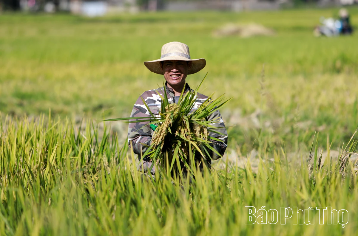 Vất vả mưu sinh mùa nắng nóng
