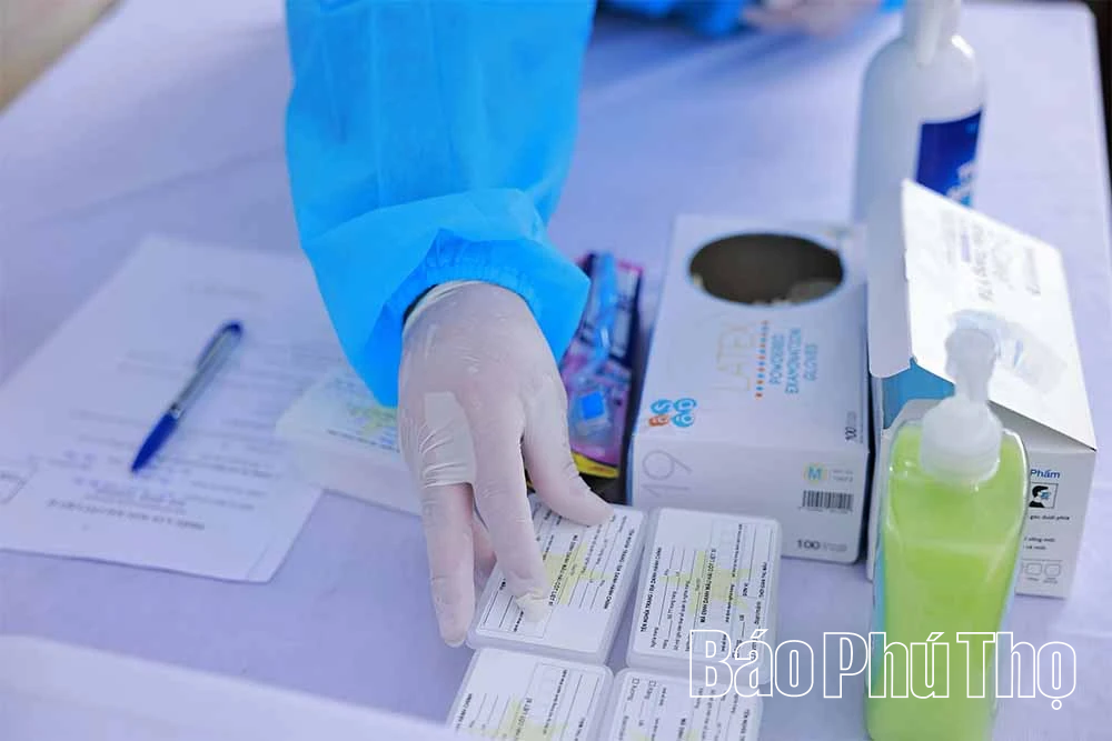 Mệnh lệnh từ trái tim