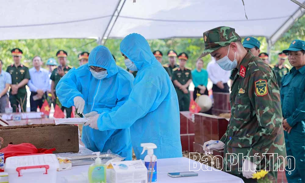 Mệnh lệnh từ trái tim